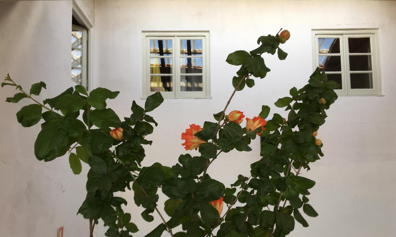 Residencial Avenida Hostel Томар Экстерьер фото